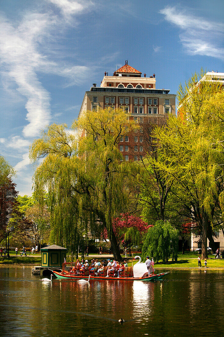 Swanboats in the Public Garden, Boston, Massachusetts, USA