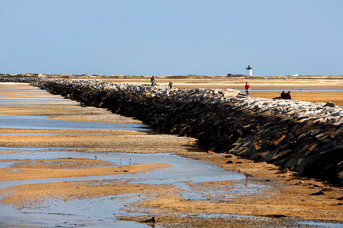 The coast, Provincetown, Cape Cod, Massachusetts, USA