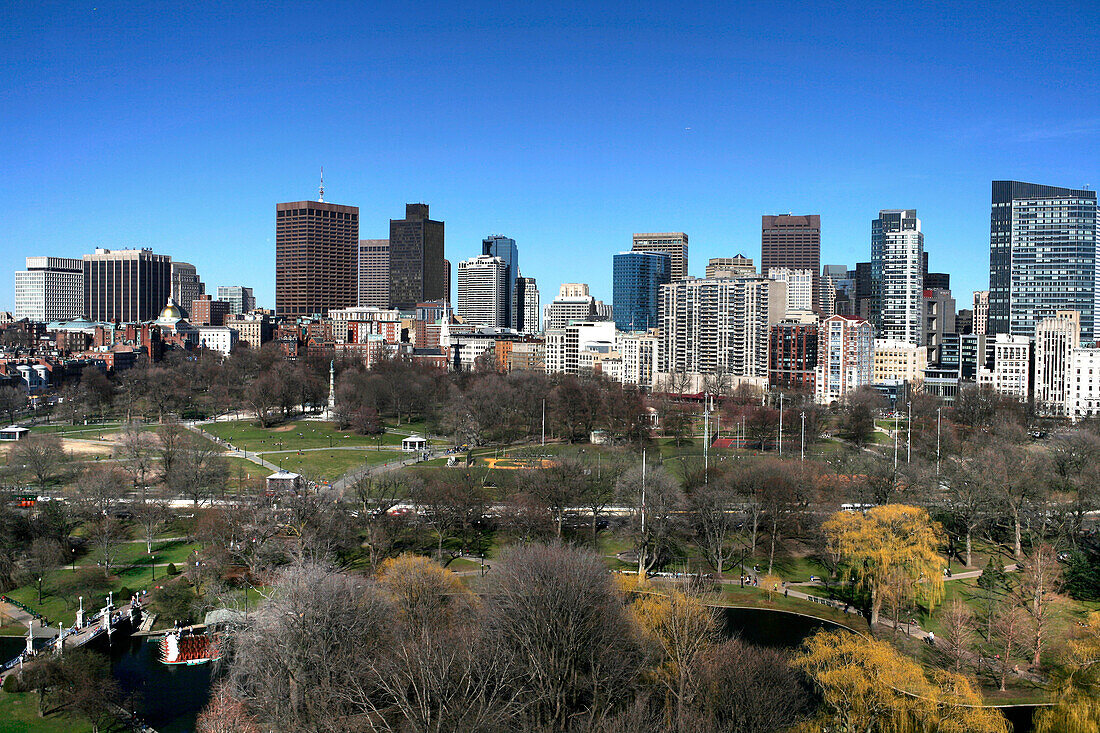 View of Boston Common and Downtown, Boston, Massachusetts, USA