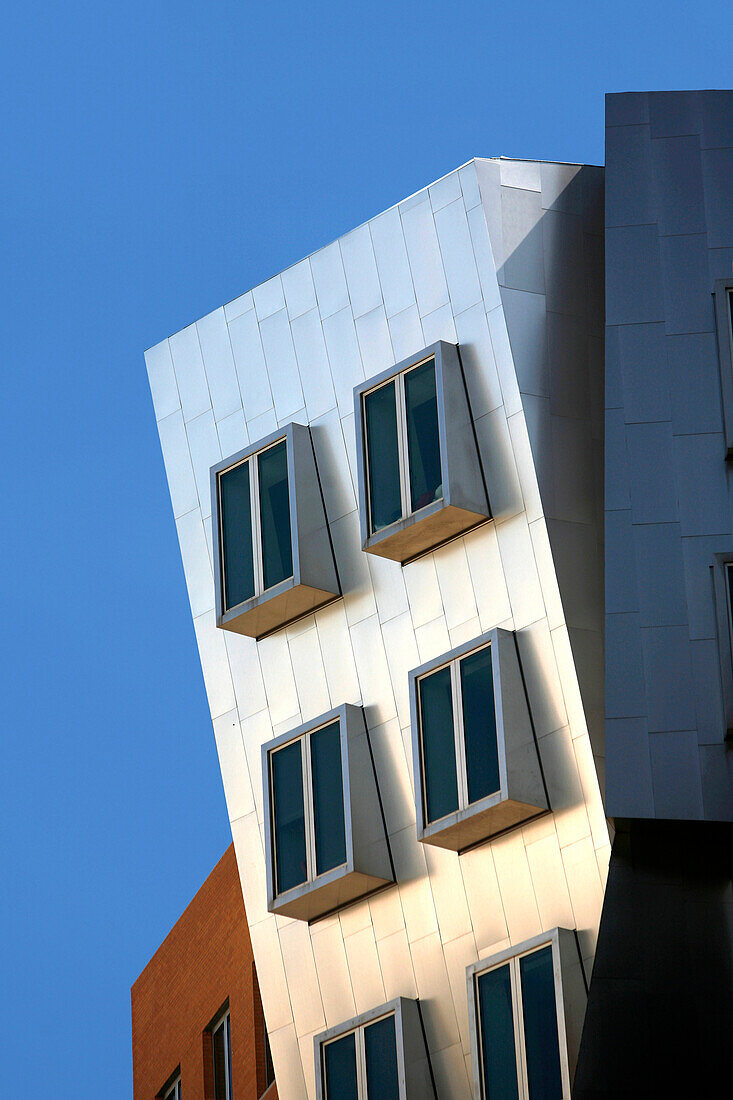 Moderne Architektur, Frank Gehrys Ray and Maria Stata Buildings, MIT, Cambridge, Massachusetts, USA