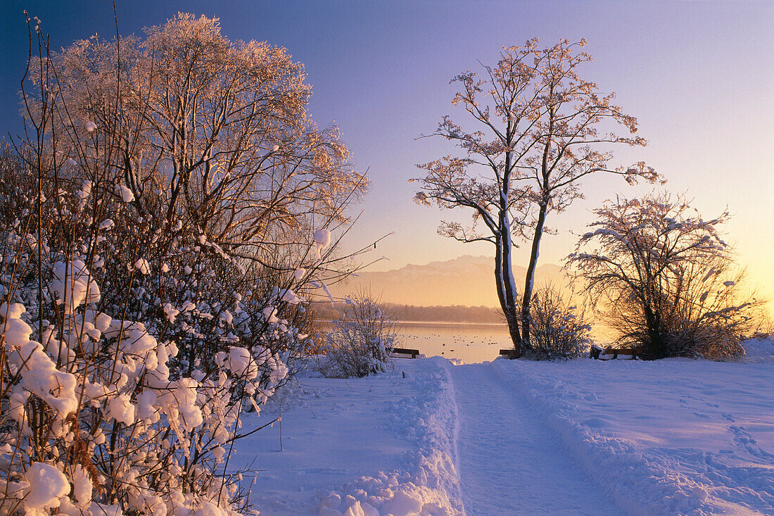 Snow covered landscape at Lake Chiem, Urfahrn near Breitbrunn, Chiemgau, Bavaria, Germany
