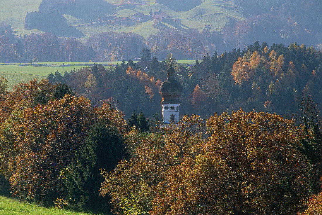 Kirchturm vom Kloster Höglwörth, Anger, Berchtesgadener Land, Bayern, Deutschland