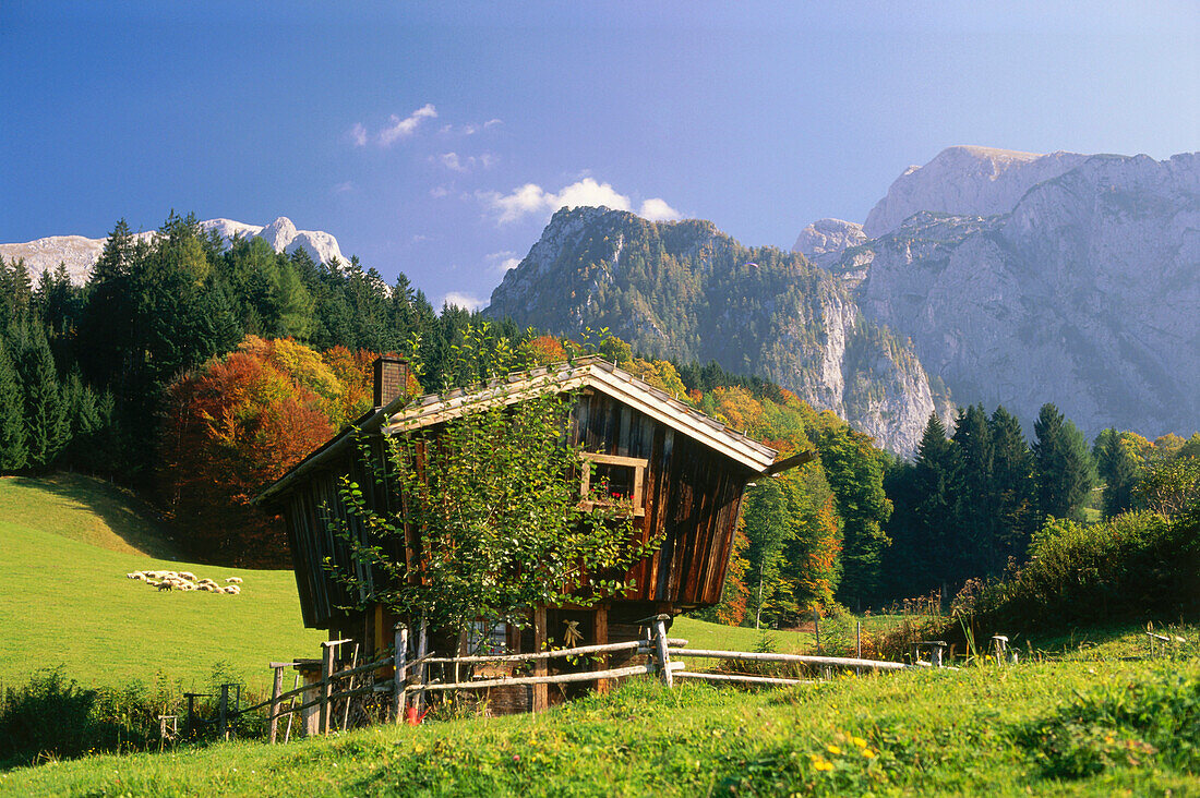 Granary on meadow, Schoenau am Koenigssee (King's Lake), Berchtesgadener Land, Bavaria, Germany