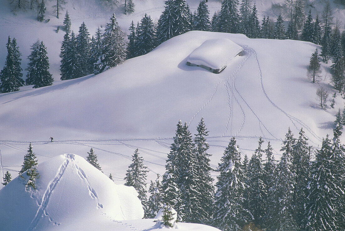 Skitourengeher bei verschneiter Almhütte, Nationalpark Berchtesgaden, Bayern, Deutschland