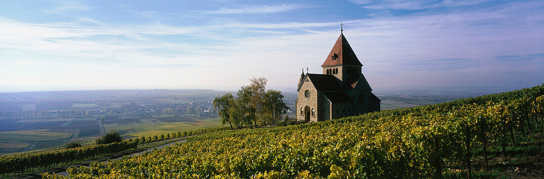 Vineyard with Gau Bickelheimer Chapel, Gau Bickelheim, Rheinhessen, Hesse. Germany