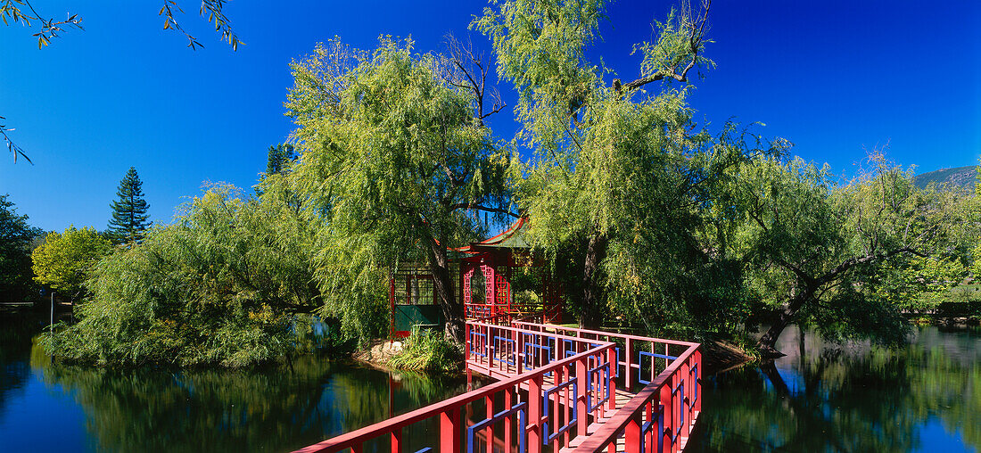 Japanese gardens at Chateau Montelena, near Calistoga, Napa Valley, California, USA, America