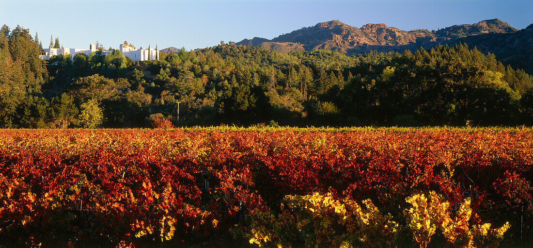 Sterling Vineyards, bei Calistoga, Napa Valley, Kalifornien, USA, Amerika