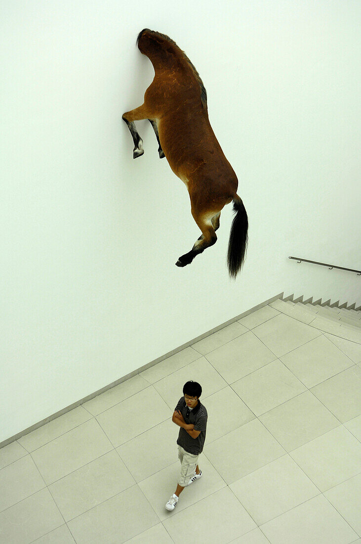 Kunstwerk von Maurizio Cattelan, Ausstellung Blue Chips & Masterpieces, Museum für moderne Kunst MMK, Frankfurt, Hessen, Deutschland