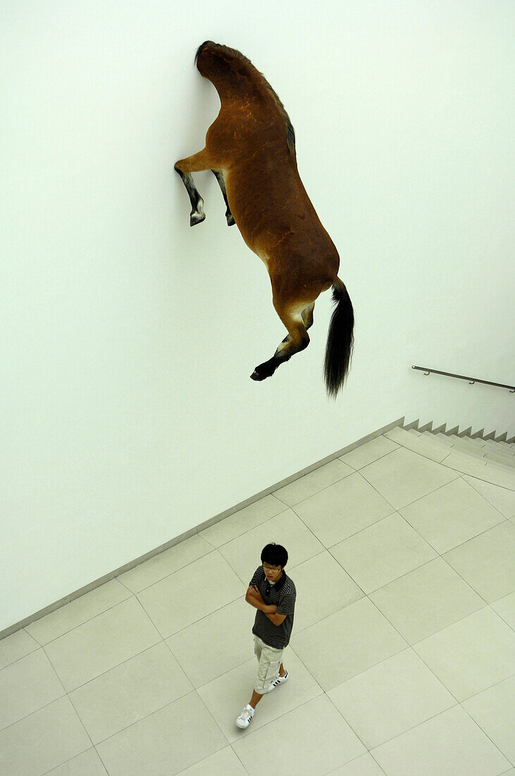 Visitor inside the Museum for Modern Art MMK in front of Maurizio Cattelan's work, Modern Architecture, Frankfurt, Hesse, Germany