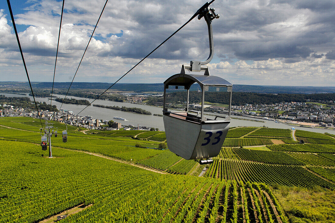 Aerial lift above vineyards, Rudesheim, Rheingau, Hesse, Germany