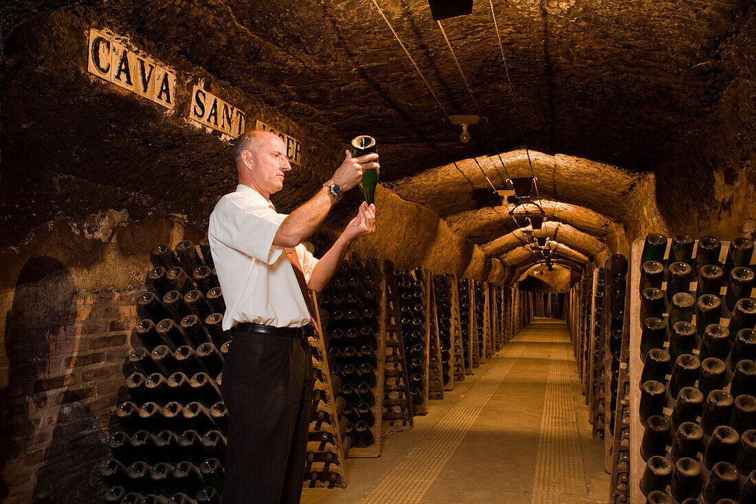 Codorniu, cava cellars, Sant Sadurni d Anoia, near Barcelona, Spanien