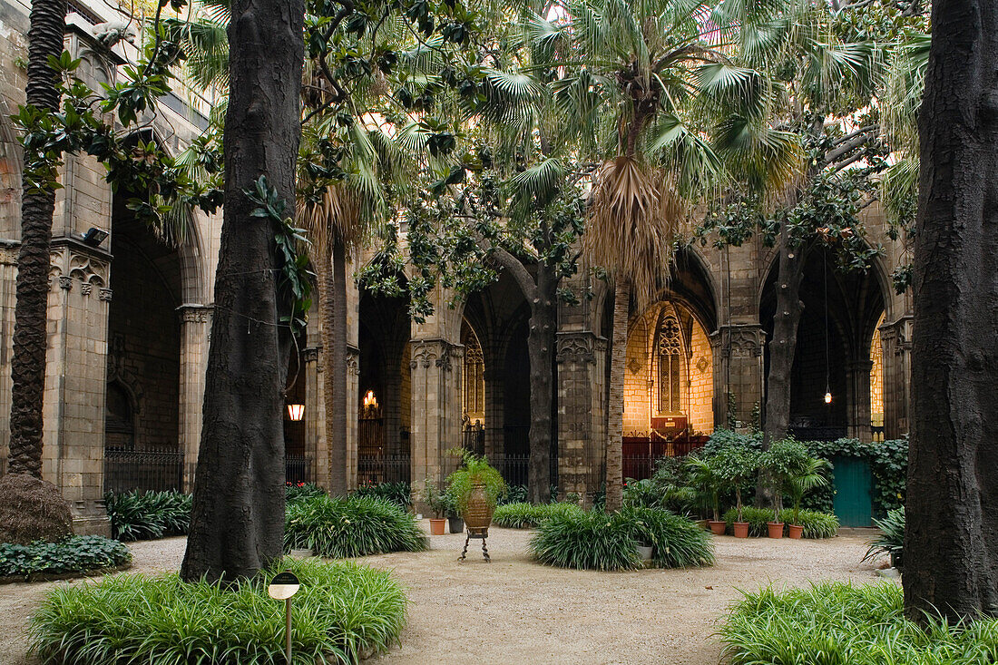 cloister, Claustro, La Seu, Cathedral de Santa Eulalia, Barri Gotic, Ciutat Vella, Barcelona, Spanien