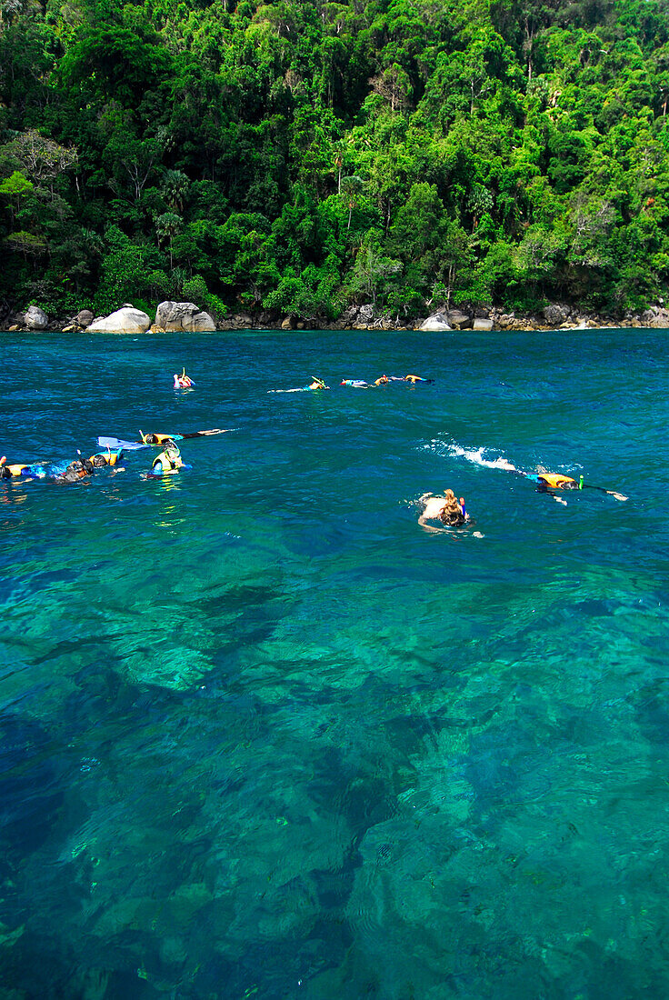 People snorkeling in clear water off Ko Surin Noi, Surin Islands Marine National Park, Ko Surin, Phang Nga, Thailand