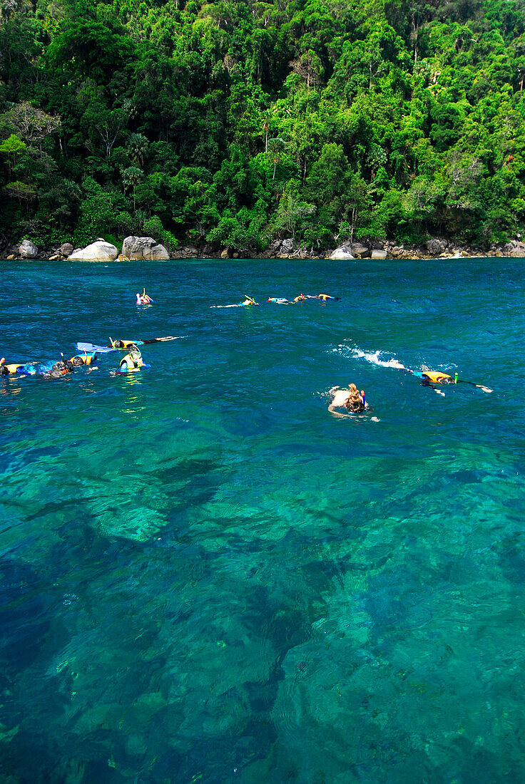 Schnorchler, Leute beim Schnorkeln im Wasser vor Ko Surin Noi, Surin Islands Marine Nationalpark, Ko Surin, Phang Nga, Thailand