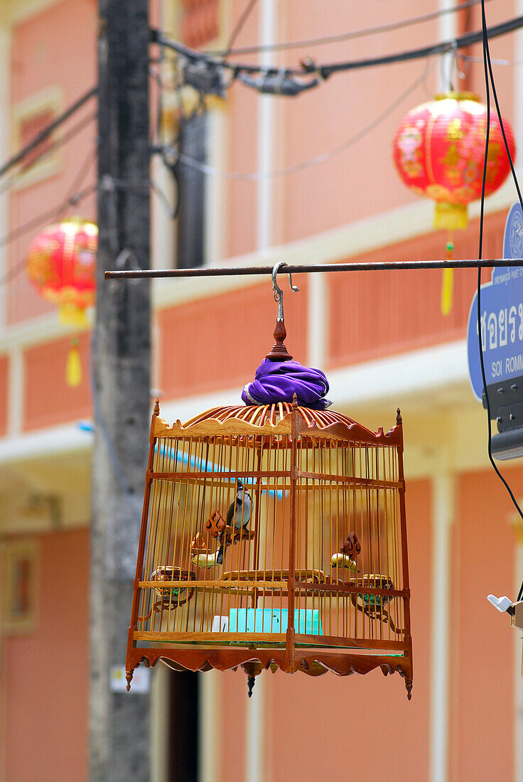 A bird in a bird cage in the old town, Phuket City, Thailand