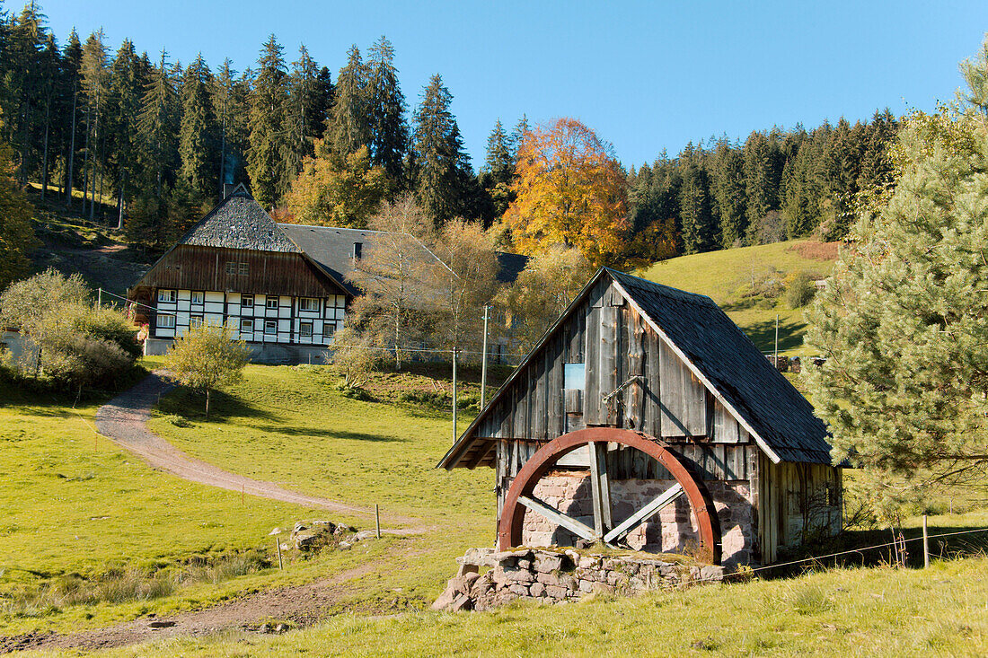 Alte Schwarzwaldmühleund Bauernhof im Herbst, historische Gebäude, Windkapf,Langenschiltach, Schwarzwald, Deutschland