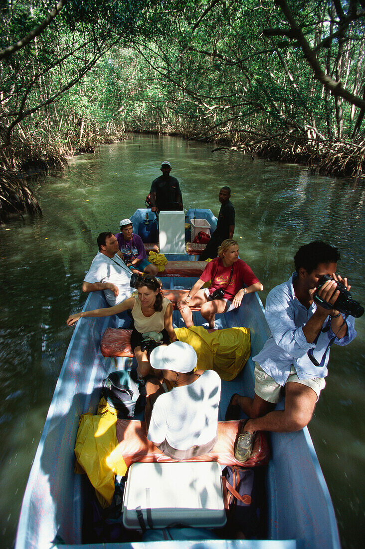 Bootstour durch die Mangroven, Los Haitises Nationalpark, Dominikanische Republik, Karibik