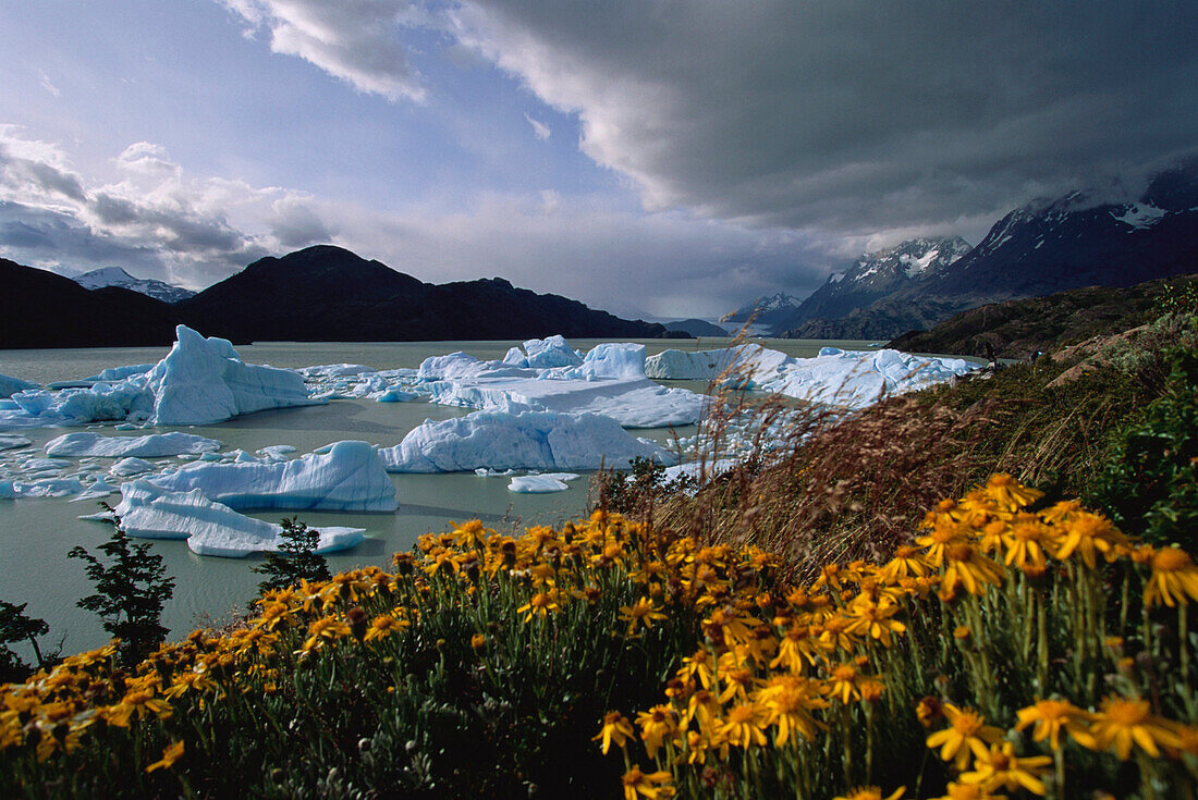 Lago del Grey, Nationalpark Torres del Paine, Patagonien, Chile