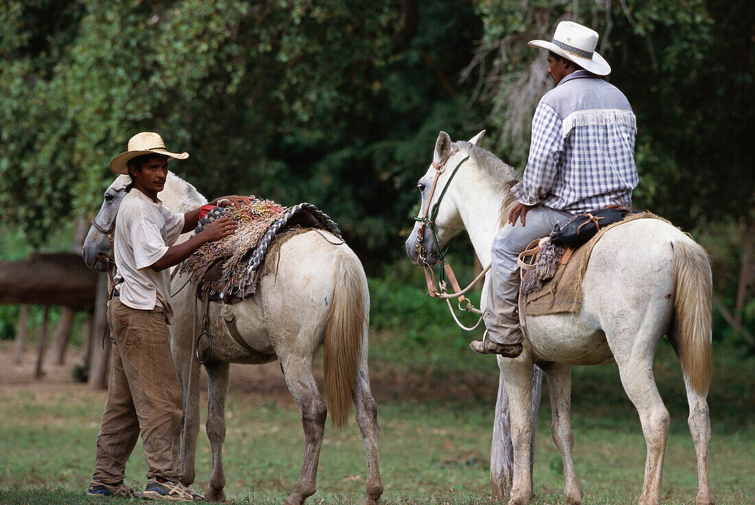 Gauchos und Pferde, Pantanal, Mato Grosso, Brasilien