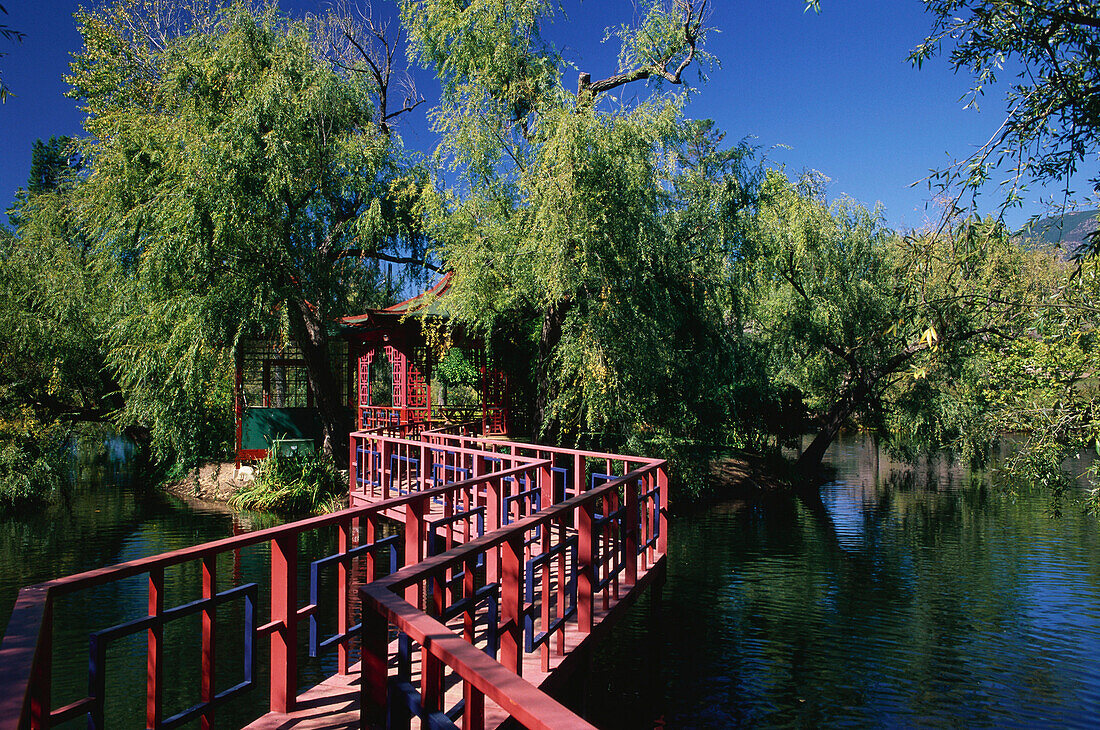 Japanese Garden in Chateau Montelena Winery, Calistoga, Napa Valley, California, USA