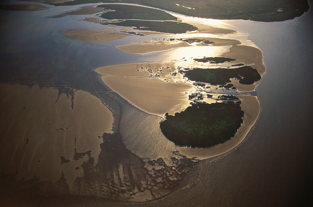 Luftansicht, Delta des Rio Parana, Mündung in den Rio de la Plata, Buenos Aires, Argentinien, Südamerika