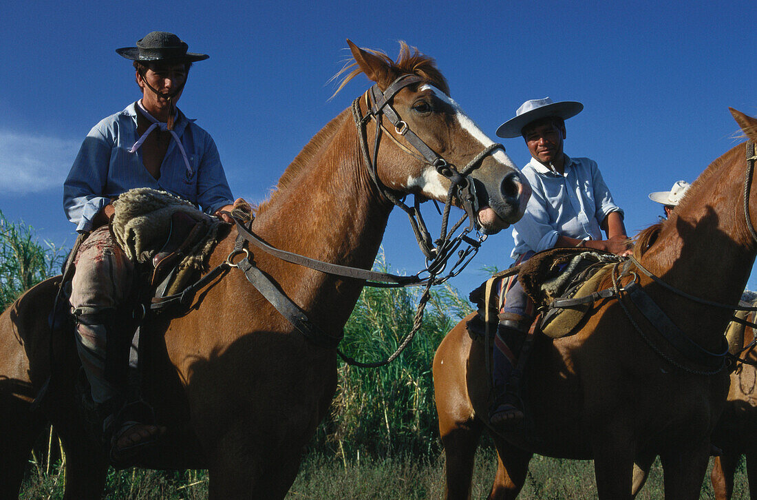 Gauchos zu Pferd, Esteros del Ibera, Corrientes, Argentinien