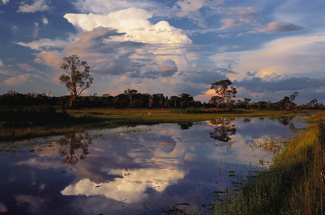Flood water during the rainy season with trees and clouds reflecting in the water, Pantanal, Mato Grosso, Brasil, South America