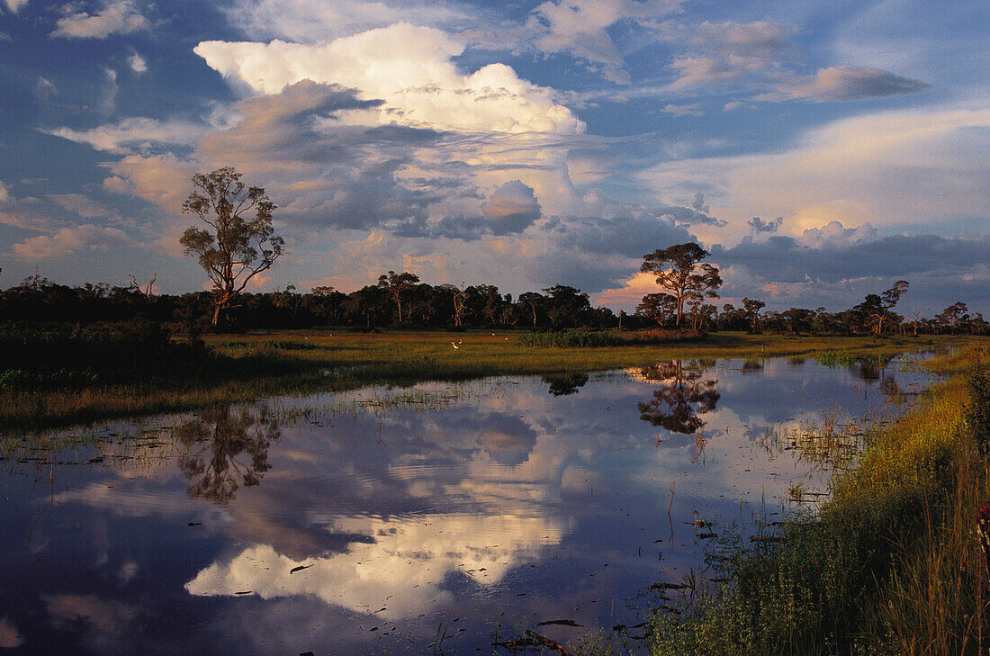 Überschwemmung während der Regenzeit, Bäume und Wolken verspiegeln sich im Wasser, Pantanal, Mato Grosso, Brasilien, Südamerika