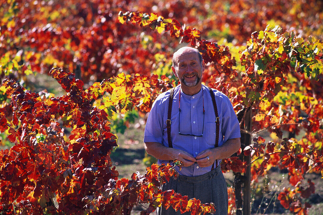 Manfred Esser, Mann inmitten von Weinreben, Weingut, Calistoga, Napa Valley, Kalifornien, USA