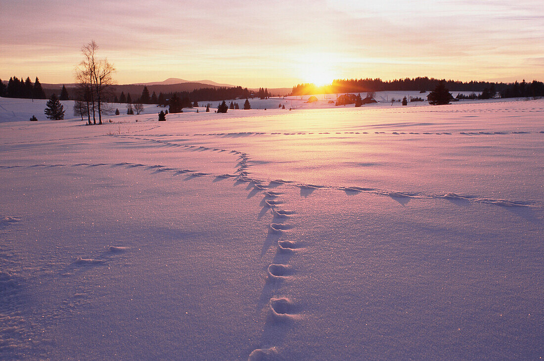 Winterlandschaft über die Hochebene, Rachel Gipfel am Horizont, Filipova Hütte, Sumava, Böhmerwald, Tschechien