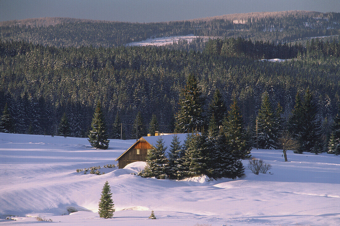 Winterlandschaft mit Blick über die Hochebene, abgelegene Haus im Hintergrund, Filipova Hütte, Sumava, Böhmerwald, Tschechien