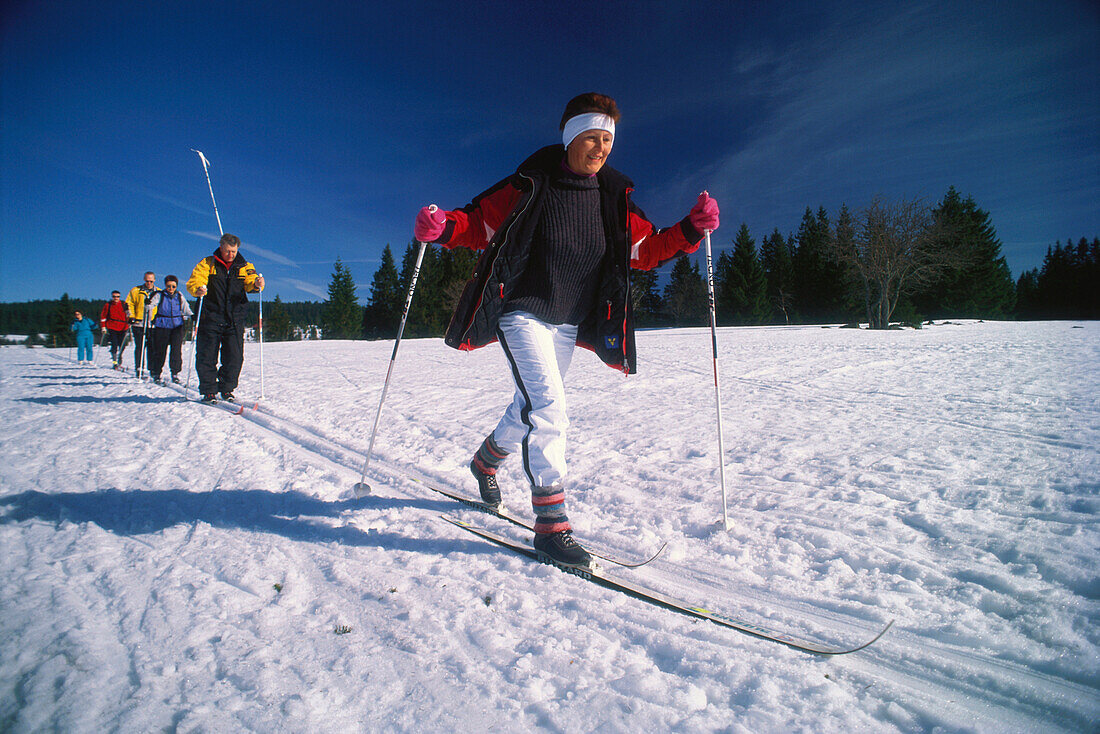 A group of people cross country skiing over the Plateau, Filipova Hut, Sumava, Bohemian Forest, Czech Republik