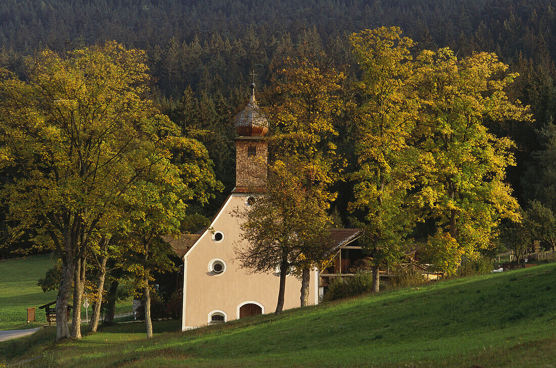 Chapel in autumn, near Grafenwiesen, Bavarian Forest, Upper Palatinate, Bavaria, Germany