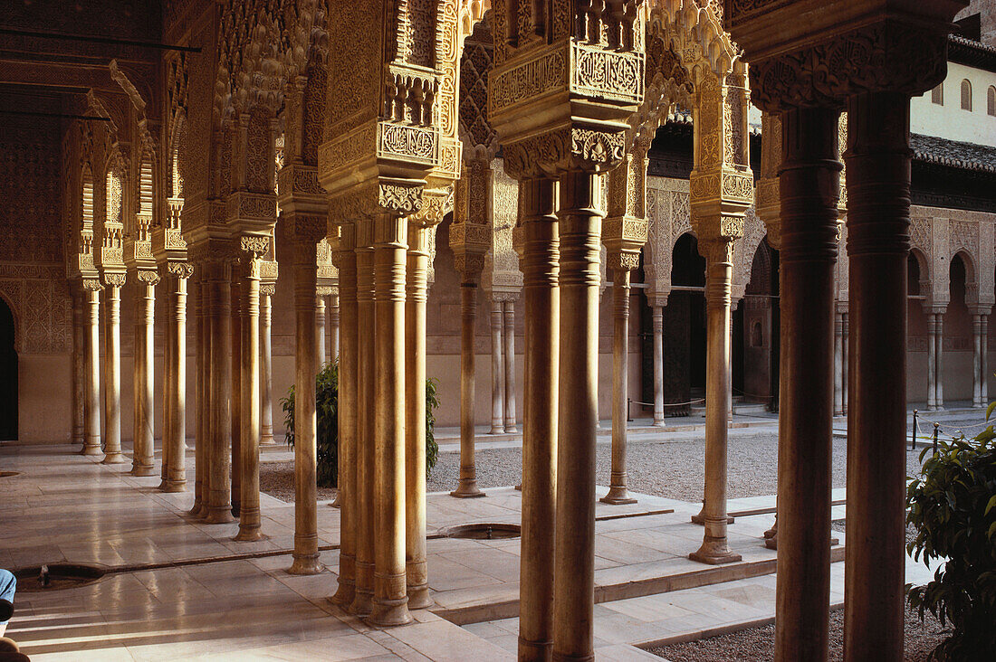 Court of the Lions, Patio de los Loenes, in Alhambra Palace, Granada, Andalusia, Spain