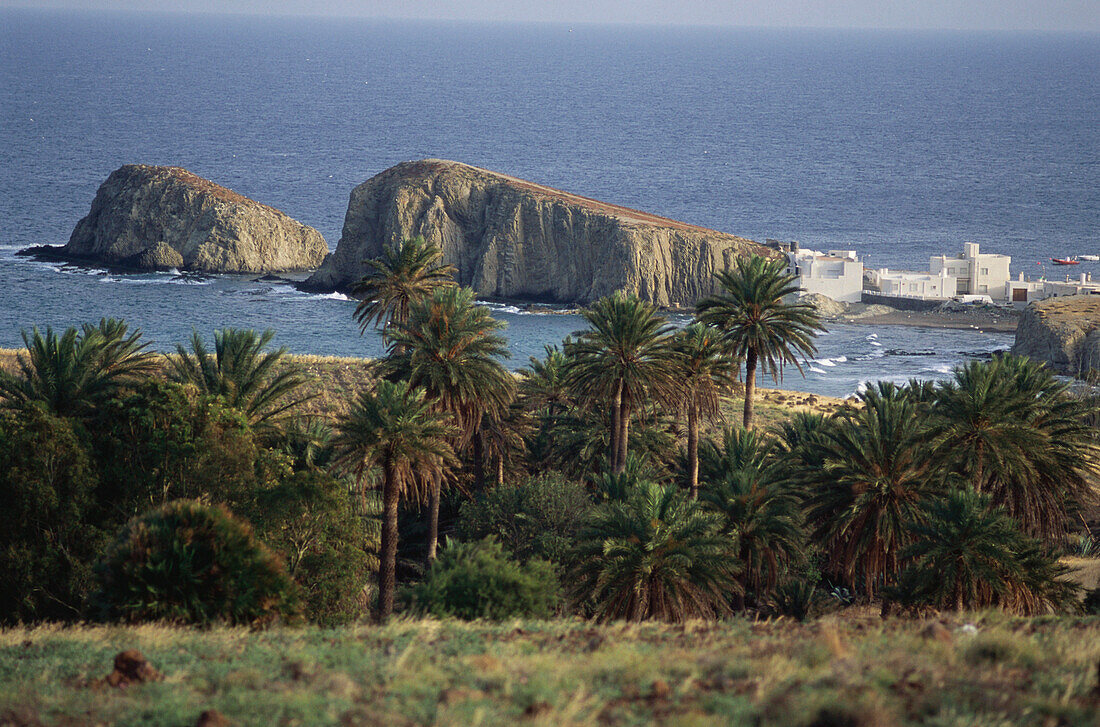 Halbinsel La Isleta mit Felsen und weißen Häuserkuben liegt hinter Palmen im Mittelmeer, Naturpark Cabo de Gata-Níjar, Provinz Almería, Andalusien. Spanien