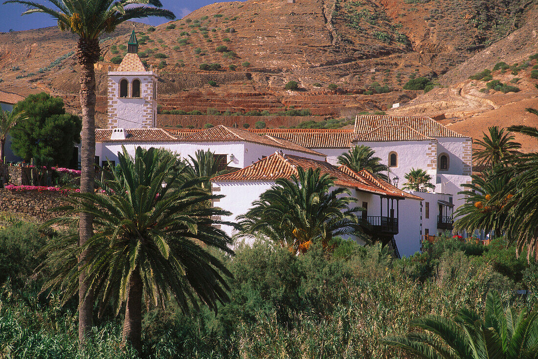 Weiße Herrenhäuser und Kirche von Betancuria inmitten von Palmen und kargen Hügeln, Fuerteventura, Kanarische Inseln, Spanien