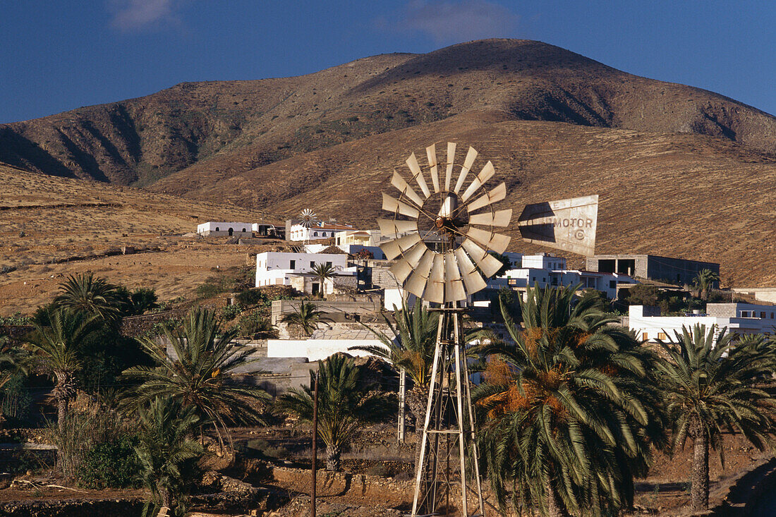 Village with wind wheel, Toto, Fuerteventura, Canary Islands, Spain