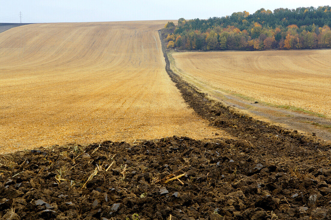 Fields, Slavkov, Austerlitz, Czech Republic