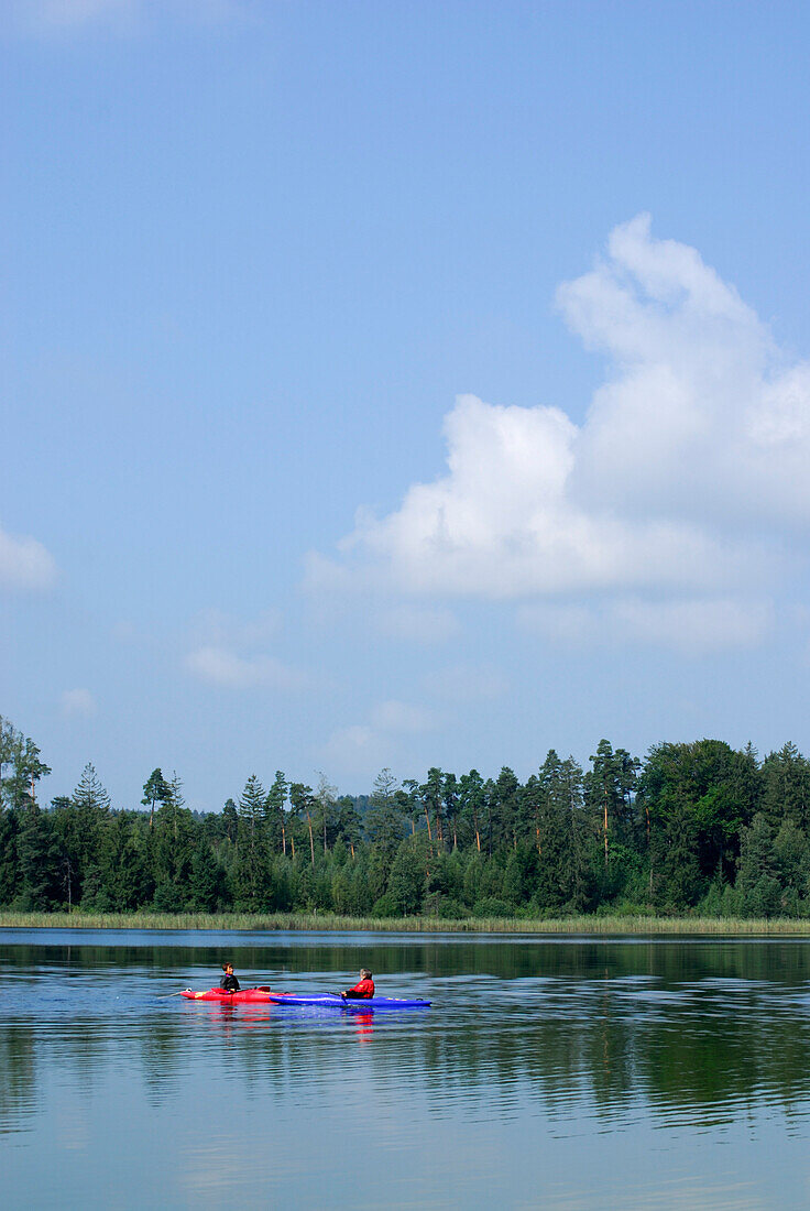 zwei Kajakfahrer auf dem Fohnsee, Osterseen, Oberbayern, Bayern, Deutschland