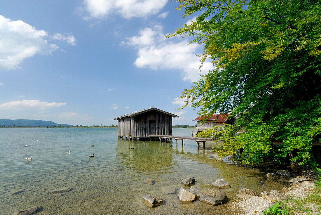 Boat huts with landing stage at shore of lake Kochelsee, Upper Bavaria, Bavaria, Germany