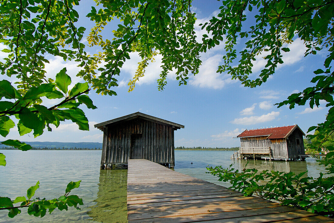 Bootshäuser mit Steg am Kochelsee, Oberbayern, Bayern, Deutschland