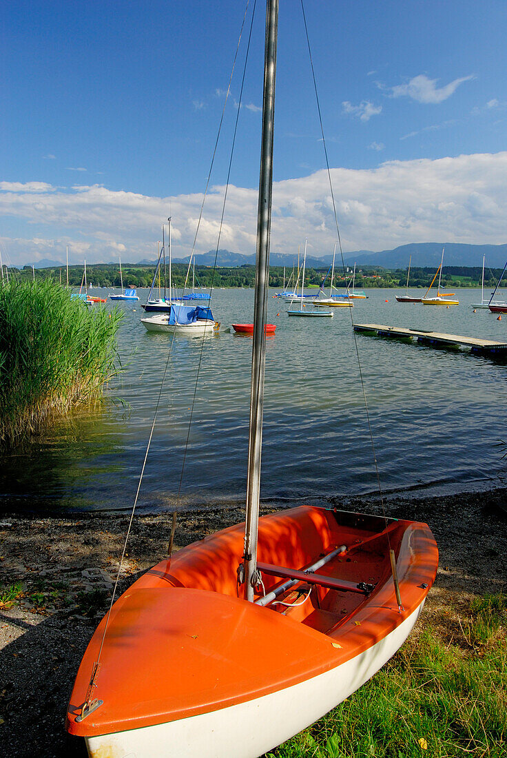 Sailing boat at shore, sailing boats and landing stage in background, lake Simssee, Chiemgau, Upper Bavaria, Bavaria, Germany
