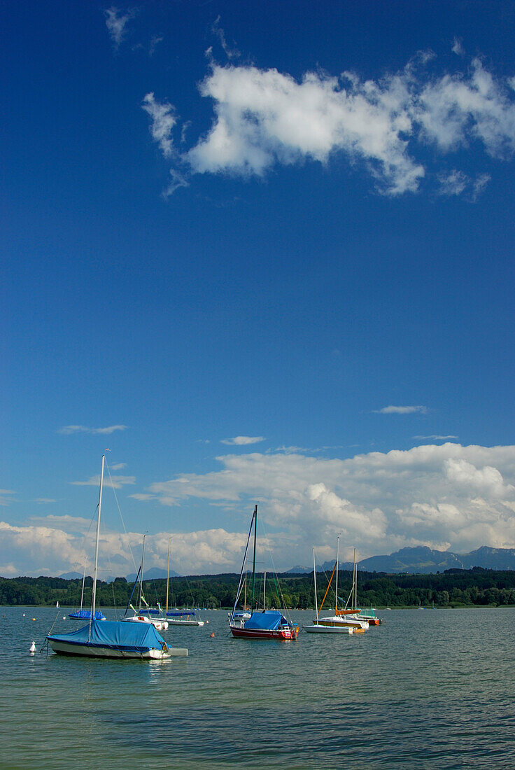 sailing boats at lake Simssee, Hochgern, Hochfelln and Kampenwand in background, Chiemgau, Upper Bavaria, Bavaria, Germany