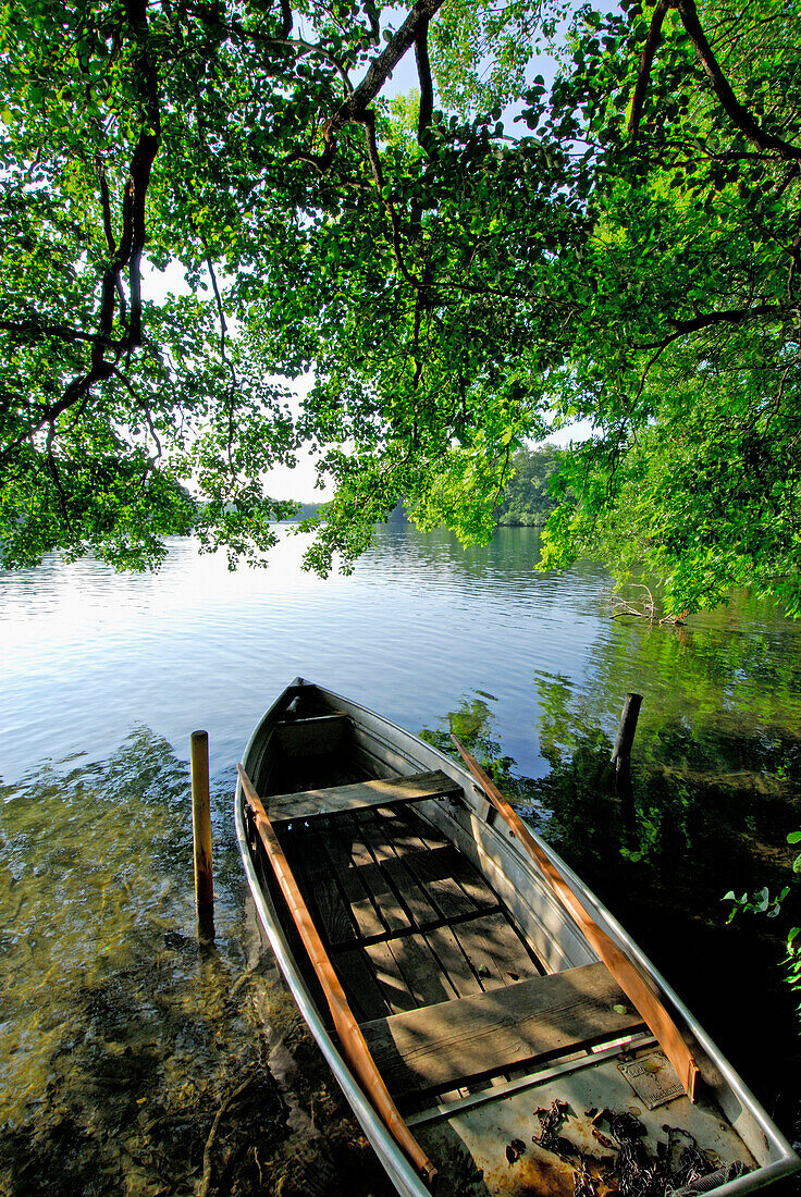 Rowing boat at shore of lake Langbürgner See, Chiemgau, Upper Bavaria, Bavaria, Germany