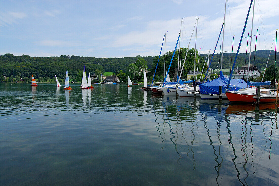 Segelboote im Mattsee, Salzkammergut, Salzburg, Österreich