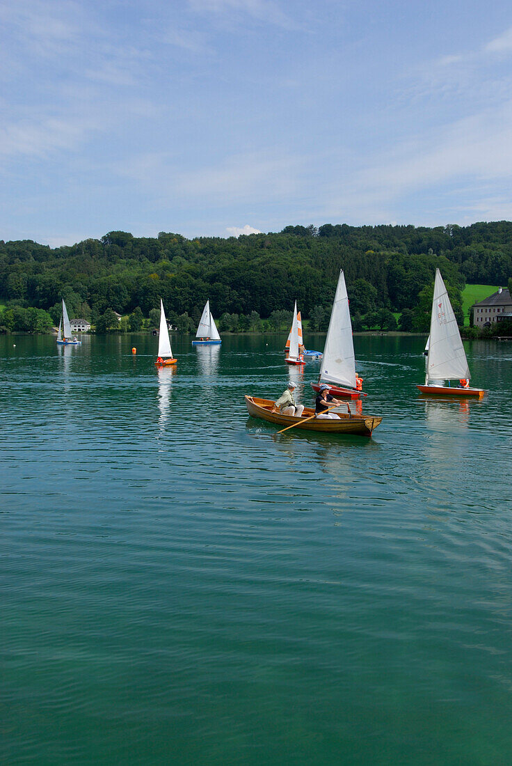 Ruderboot mit Pärchen und Segelboote, Mattsee, Salzkammergut, Salzburg, Österreich