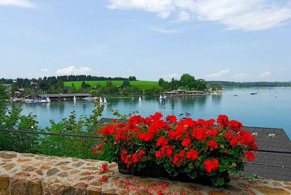 Ausblick von einer Terrasse auf den Mattsee, Salzburger Land, Österreich