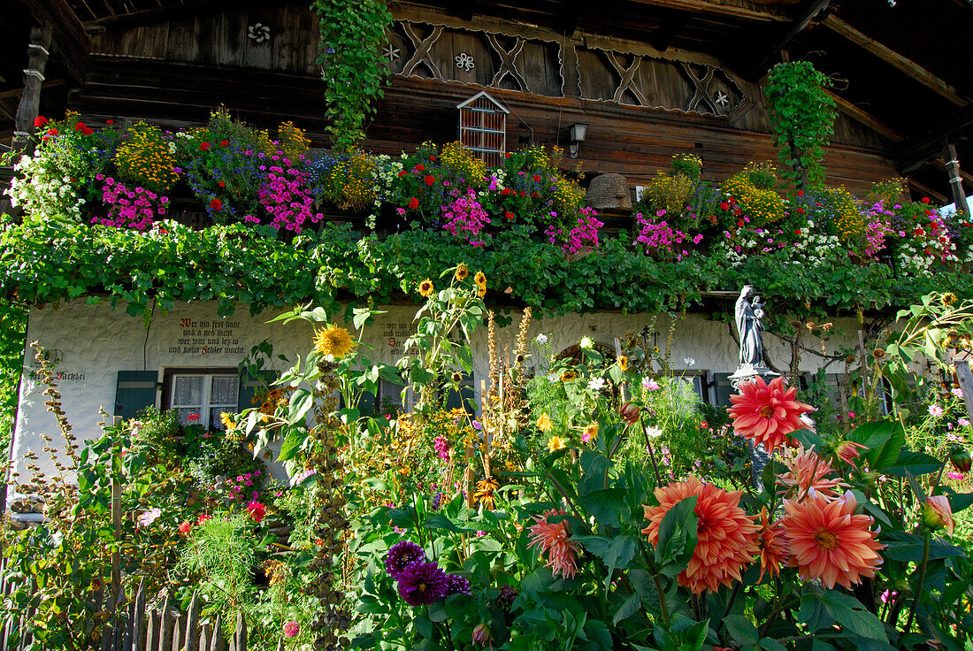 flower garden in front of farmhouse, Petting, lake Waginger See, Chiemgau, Upper Bavaria, Bavaria, Germany