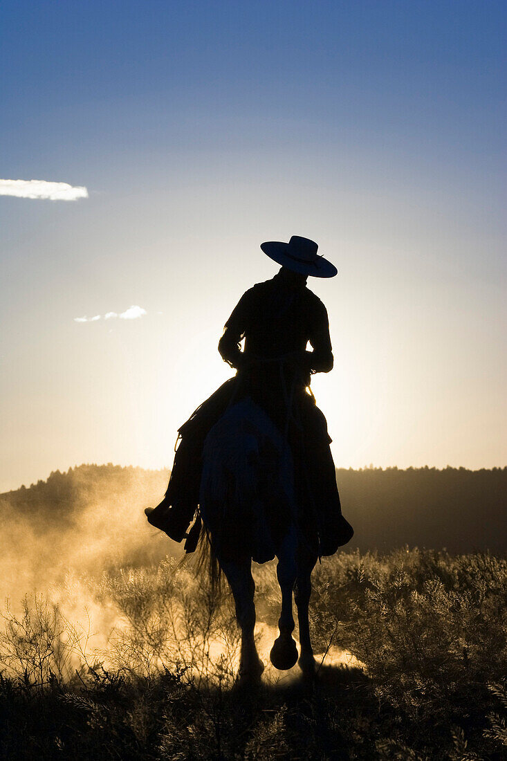 cowboy horseriding at sunset, Oregon, USA