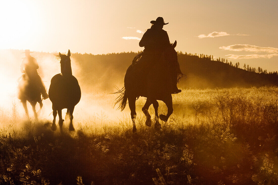 Cowboys reiten bei Sonnenuntergang, Oregon, USA